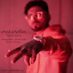 دانلود آهنگ سعید پاپیلون منو یادته